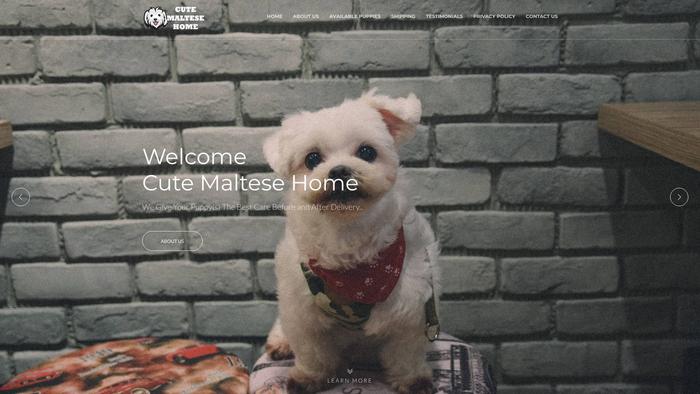 Cutemaltesehome.com - Maltese Puppy Scam Review