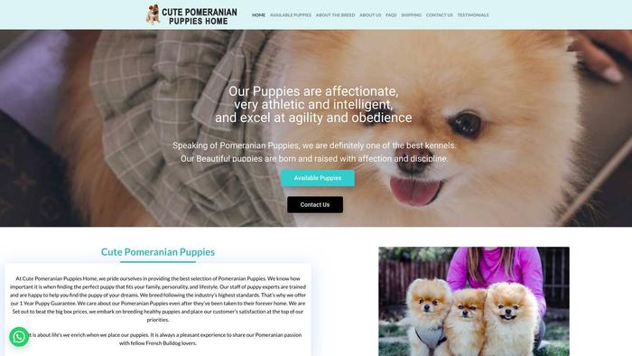 Cutepomeranianpuppieshome.com - Pomeranian Puppy Scam Review