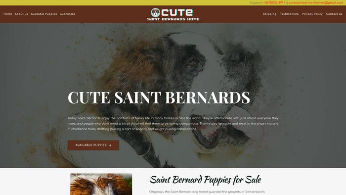 Cutesaintbernardshome.com - Saint Bernard Puppy Scam Review