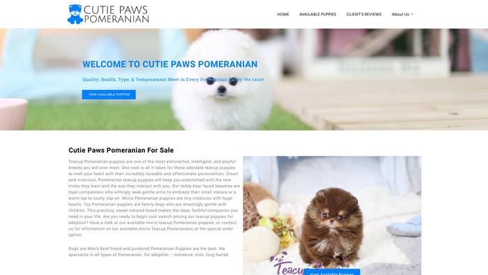 Cutiepawspomeranian.com - Pomeranian Puppy Scam Review