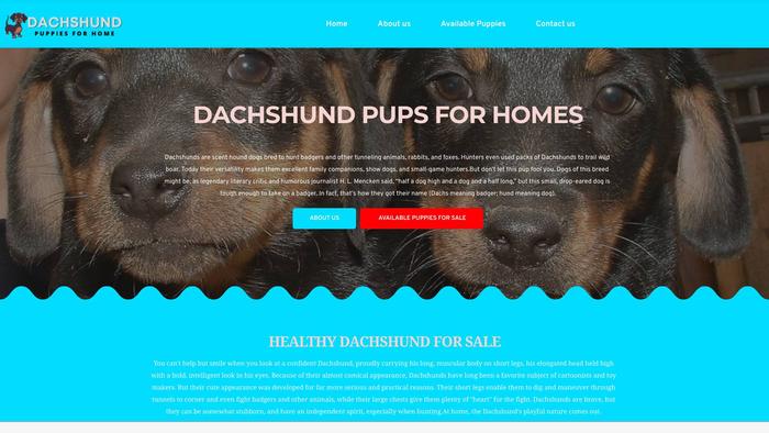 Dachshundpupsforhomes.com - Dachshund Puppy Scam Review