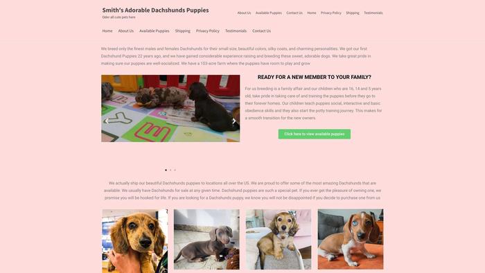 Dachshundspuppy.com - Dachshund Puppy Scam Review