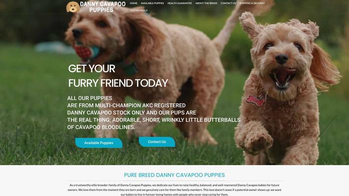 Dannycavapoopuppies.com - Cavapoo Puppy Scam Review