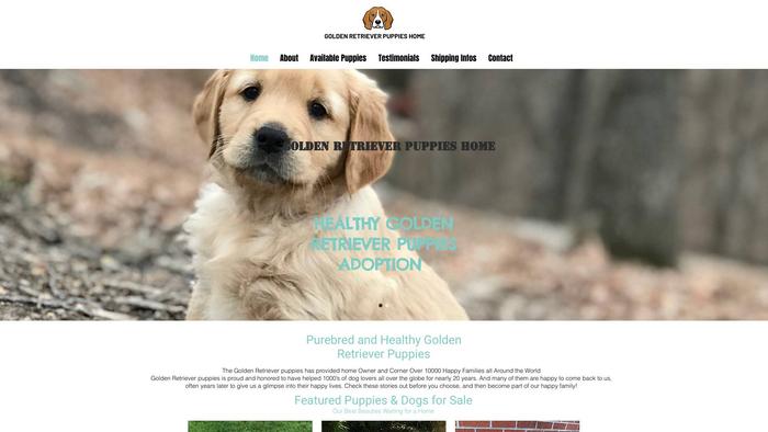 Dashinggoldenretriever.com - Golden Retriever Puppy Scam Review