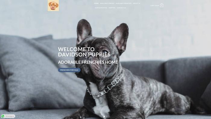 Davidsonpuppies.dog - French Bulldog Puppy Scam Review