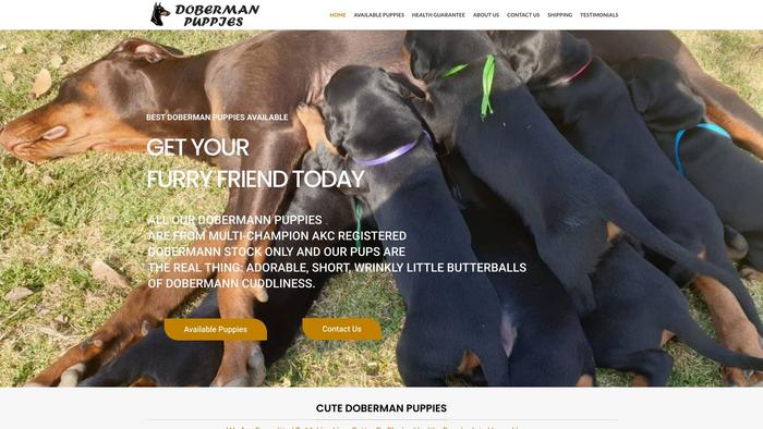 Doberman-puppies.com - Doberman Pinscher Puppy Scam Review