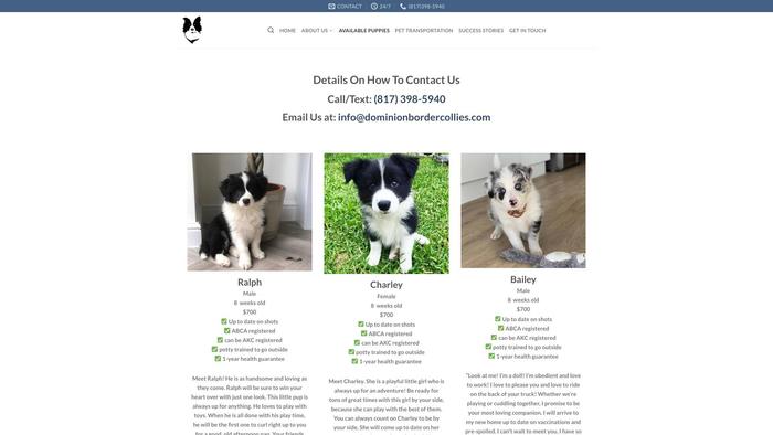 Dominionbordercollies.com - Bordercollie Puppy Scam Review