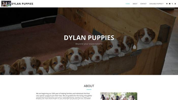 Dylanpuppies.com - Cavalier King Charles Spaniel Puppy Scam Review