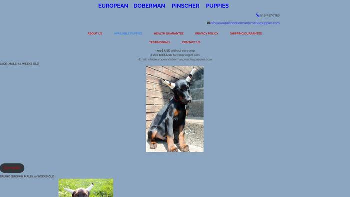 Europeandobermanpinscherpuppies.com - Doberman Pinscher Puppy Scam Review