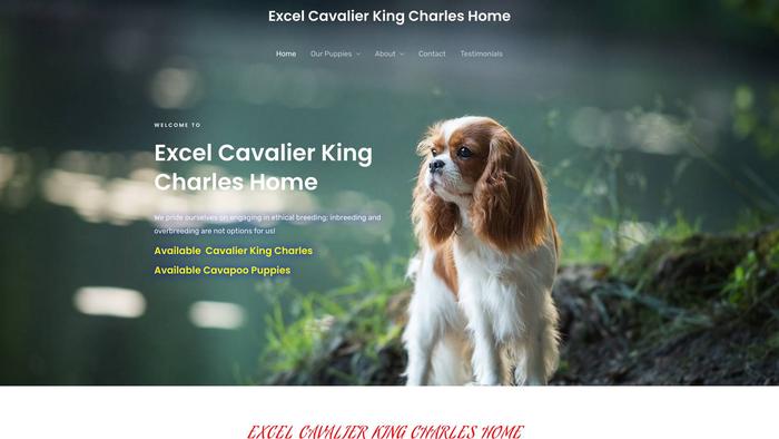 Excelcavalierkingcharleshome.com - Cavalier King Charles Spaniel Puppy Scam Review