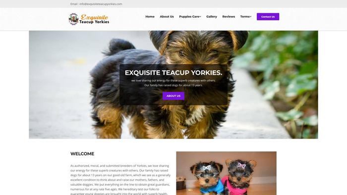 Exquisiteteacupyorkies.com - Yorkshire Terrier Puppy Scam Review