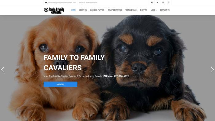 Familytofamilycavaliers.com - Cavalier King Charles Spaniel Puppy Scam Review