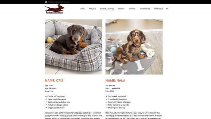 Faustodachshundhome.com - Dachshund Puppy Scam Review