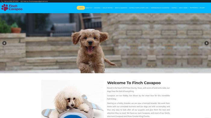 Finchcavapoo.com - Cavapoo Puppy Scam Review