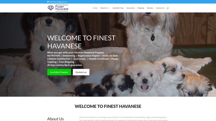 Finesthavanese.com - Havanese Puppy Scam Review