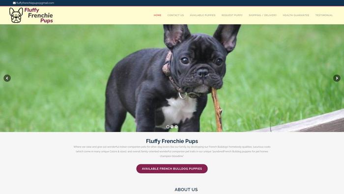 Fluffyfrenchiepups.com - French Bulldog Puppy Scam Review