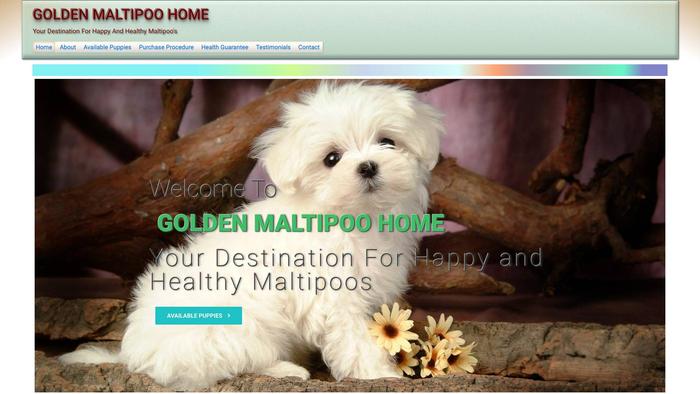 Goldenmaltipoohome.com - Maltipoo Puppy Scam Review