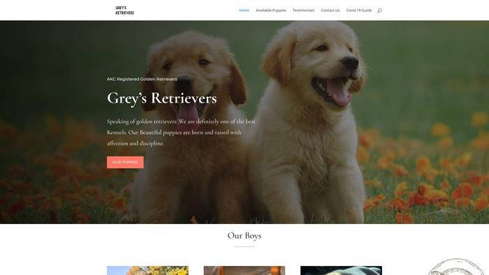 Greysgoldenretrievers.com - Golden Retriever Puppy Scam Review