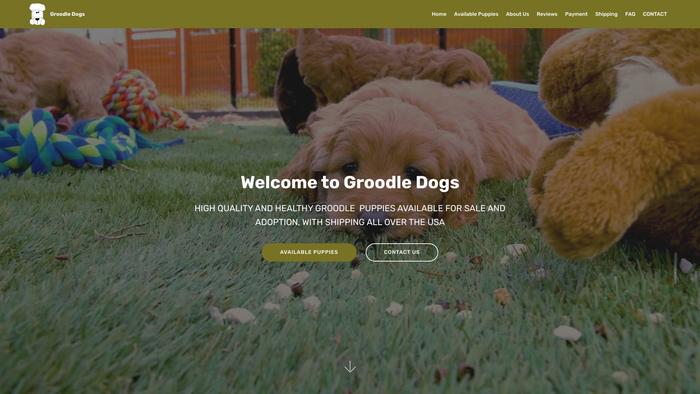 Groodledogs.com - Labradoodle Puppy Scam Review