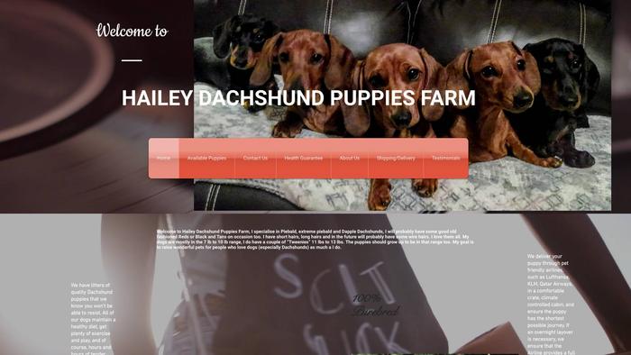 Haileydachshundpuppiesfarm.com - Dachshund Puppy Scam Review