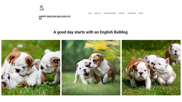 Happyenglishbulldoghome.com - English Bulldog Puppy Scam Review