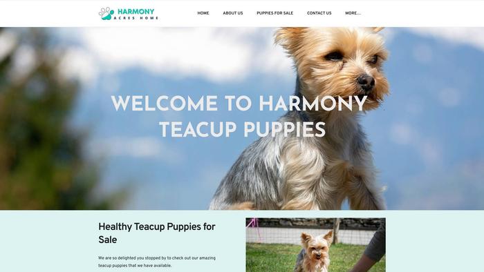 Harmonyacreshome.com - Yorkshire Terrier Puppy Scam Review