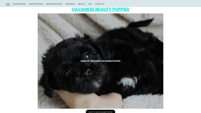 Havanesebeautypuppies.com - Havanese Puppy Scam Review