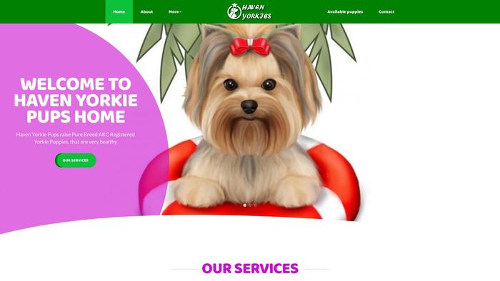 Havenyorkiepups.com - Yorkshire Terrier Puppy Scam Review