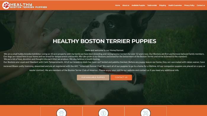 Healthybostonterrierpuppies.com - Boston Terrier Puppy Scam Review