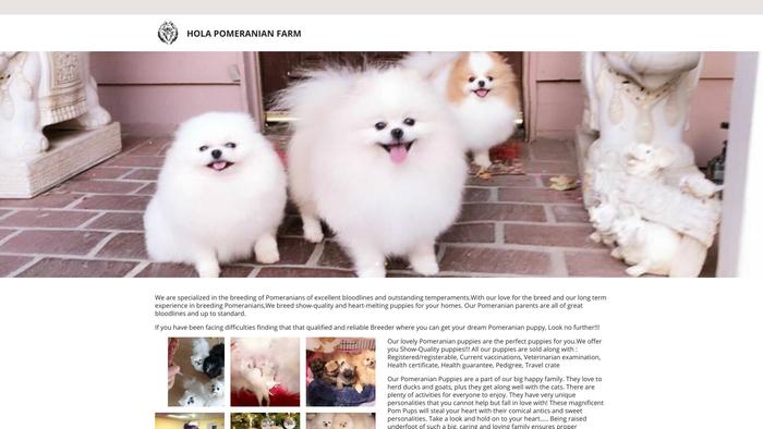 Holateacuppomeranian.com - Pomeranian Puppy Scam Review