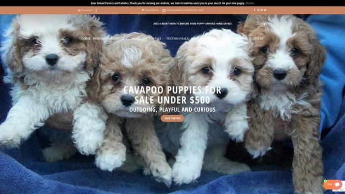 Homelandpuppies.com - Cavapoo Puppy Scam Review