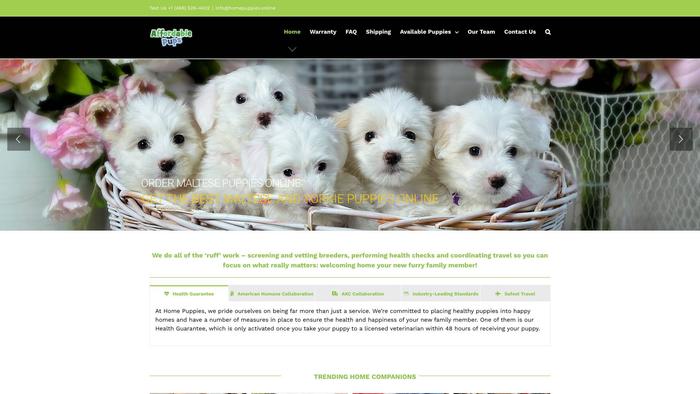 Homepuppies.online - Bulldog Puppy Scam Review