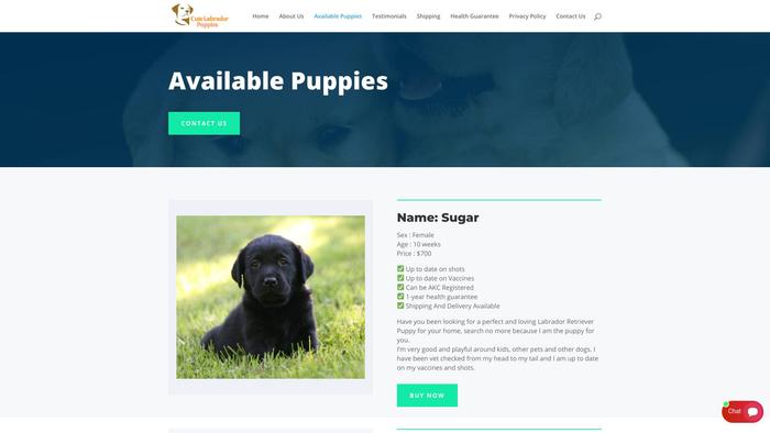 Hometrainedlabradorretrievers.com - Golden Retriever Puppy Scam Review