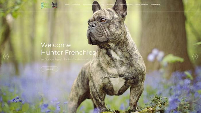 Hunterfrenchies.com - French Bulldog Puppy Scam Review