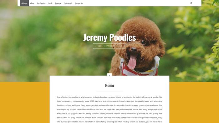 Jeremypoodles.com - Poodle Puppy Scam Review