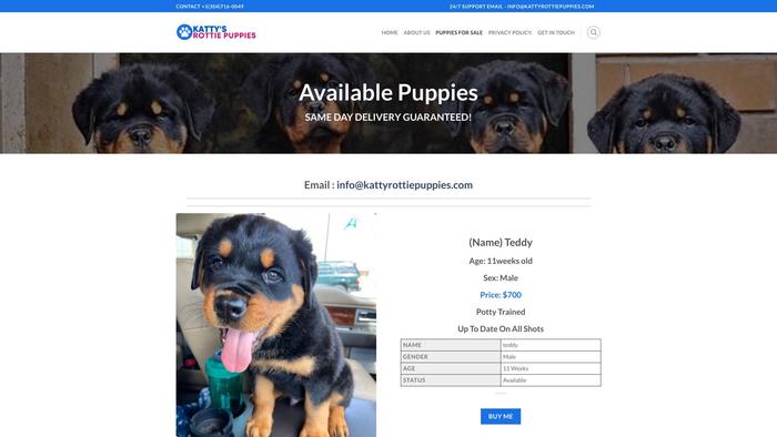 Kattyrottiepuppies.com - Rottweiler Puppy Scam Review