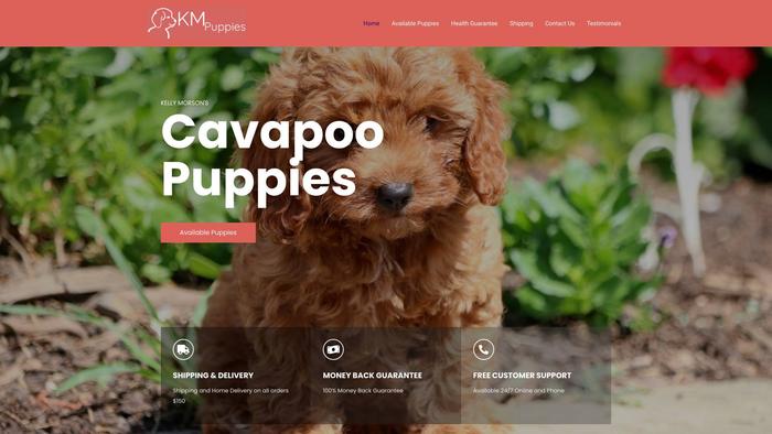 Kellymorsoncavapoopups.com - Cavapoo Puppy Scam Review