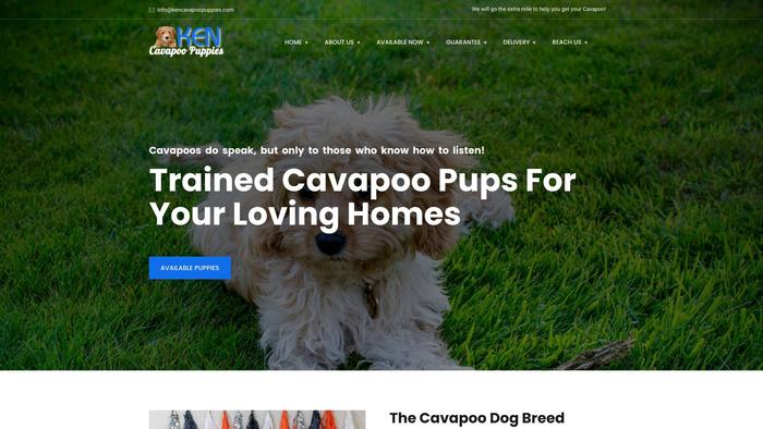 Kencavapoopuppies.com - Cavapoo Puppy Scam Review