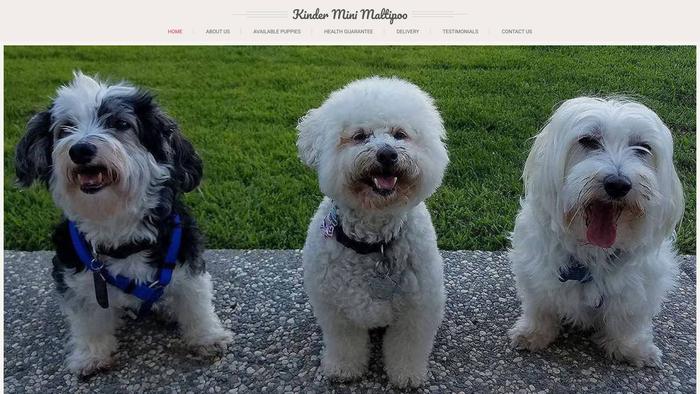 Kinderminimaltipoo.com - Maltipoo Puppy Scam Review