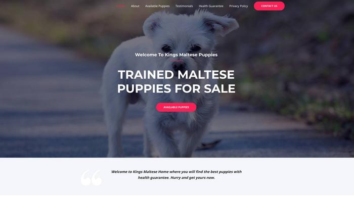 Kingsmaltesepups.com - Maltese Puppy Scam Review