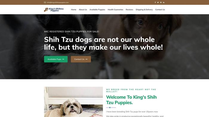 Kingsshihtzupuppies.com - Shihtzu Puppy Scam Review