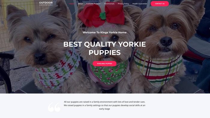 Kingsyorkiepups.com - Yorkshire Terrier Puppy Scam Review