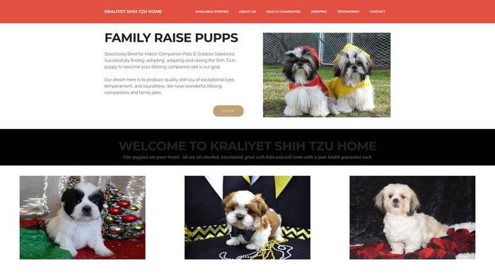 Kraliyetshihtzuhome.com - Shihtzu Puppy Scam Review