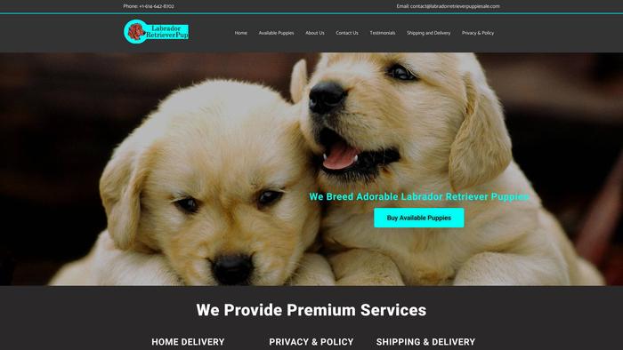 Labradorretrieverpuppiesale.com - Golden Retriever Puppy Scam Review