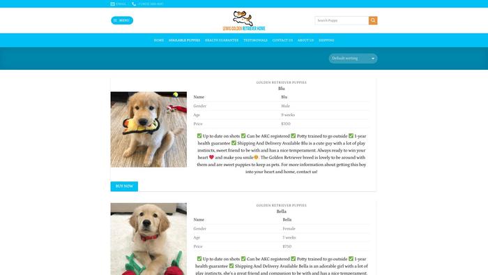 Lewisgoldenretrieverhome.com - Golden Retriever Puppy Scam Review