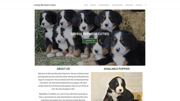 Lovelybernesecuties.com - Bernese Mountain Dog Puppy Scam Review