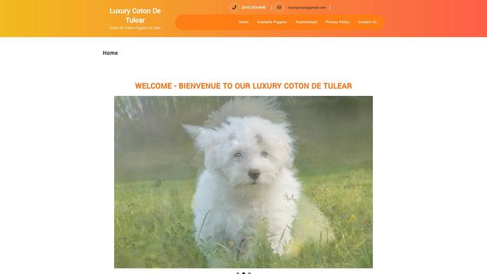 Luxurycotons.com - Coton De Tulear Puppy Scam Review