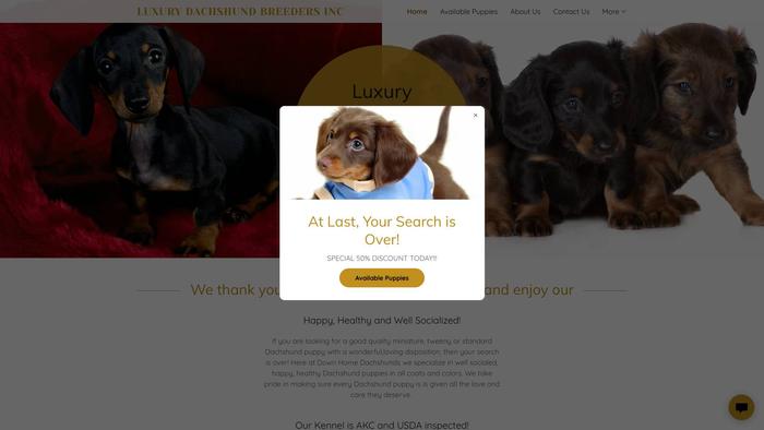 Luxurydachshundbreeders.club - Dachshund Puppy Scam Review