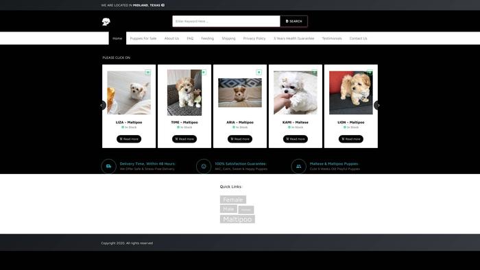 Maltesemode.online - Maltese Puppy Scam Review