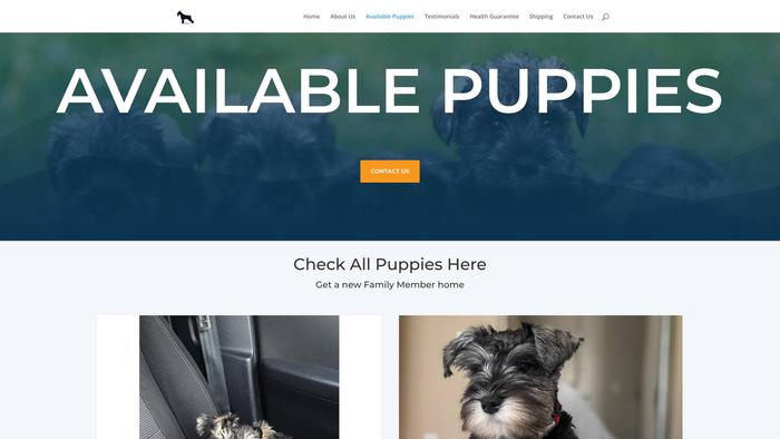 Markschnauzerpuppies.com - Schnauzer Puppy Scam Review